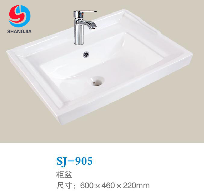 SJ-905  03.JPG