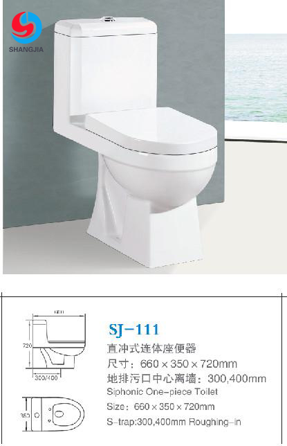 SJ-111  07.JPG
